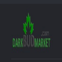 Business Listing Darkbudmarket in Stroud England