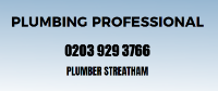 Business Listing Plumbing Professional in St Leonard's England