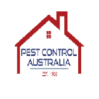 Termite Treatment Brisbane - Pest Australia