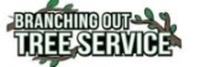 Business Listing Tree Service & Removal Suffolk County in Setauket- East Setauket NY