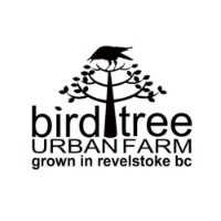 Bird Tree Urban Farm