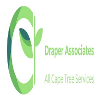 Draper Associates