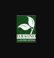 Business Listing D. Ragno Landscaping in Mount Vernon NY