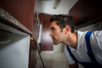 Business Listing Pest Control in McAllen in Pharr 