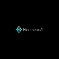 Moonraker SEO Services