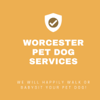 Worcester Pet Dog Services