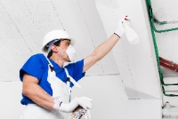 Business Listing Brockville Mold Removal in Brockville ON