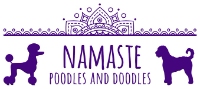 Business Listing Namaste Poodles and Doodles in Dallas TX