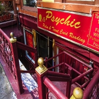 Call Psychic Now New York