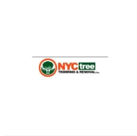 Business Listing NYC Tree Trimming & Removal Corp in New York NY