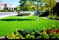 Synthetic Lawns of Las Vegas