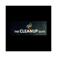 The CleanUP Guys