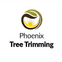 Business Listing Phoenix Tree Trimming in Phoenix AZ