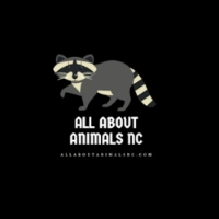 Business Listing All About Animals NC - Squirrel Removal & Wildlife Removal in Charlotte NC