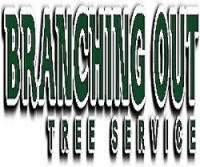 BO Tree Service & Removal