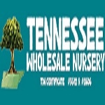 Wholesale Nursery Co