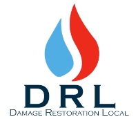 Business Listing DRL Professional Services in Mount Vernon NY