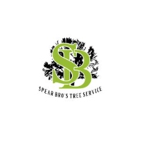 Business Listing Spear Bro’s Tree Service in Wolcott CT