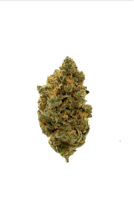 Shop Guava Gelato Strain - NAM Wellness Products